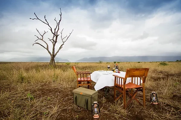 Mpeti Lodge Outdoor Dining