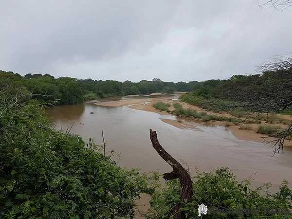 great usutu river mozambique border south africa